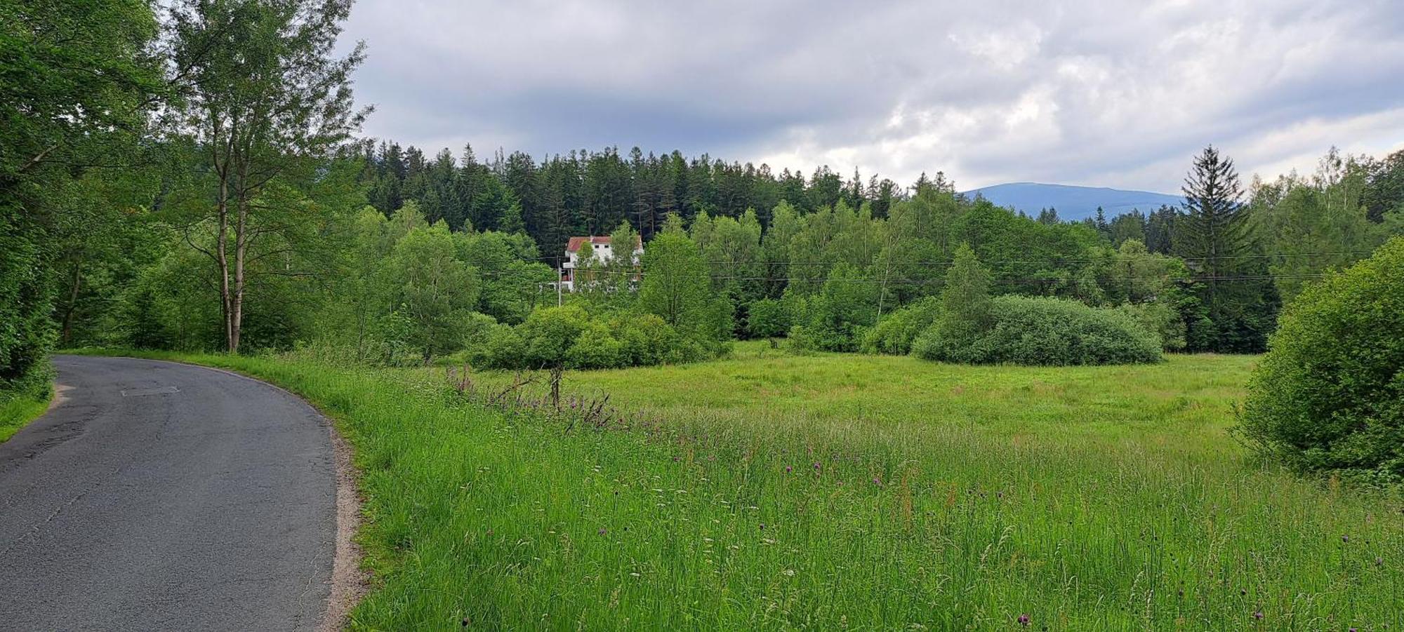 Gorskie Zacisze Bed & Breakfast Borowice Exterior photo