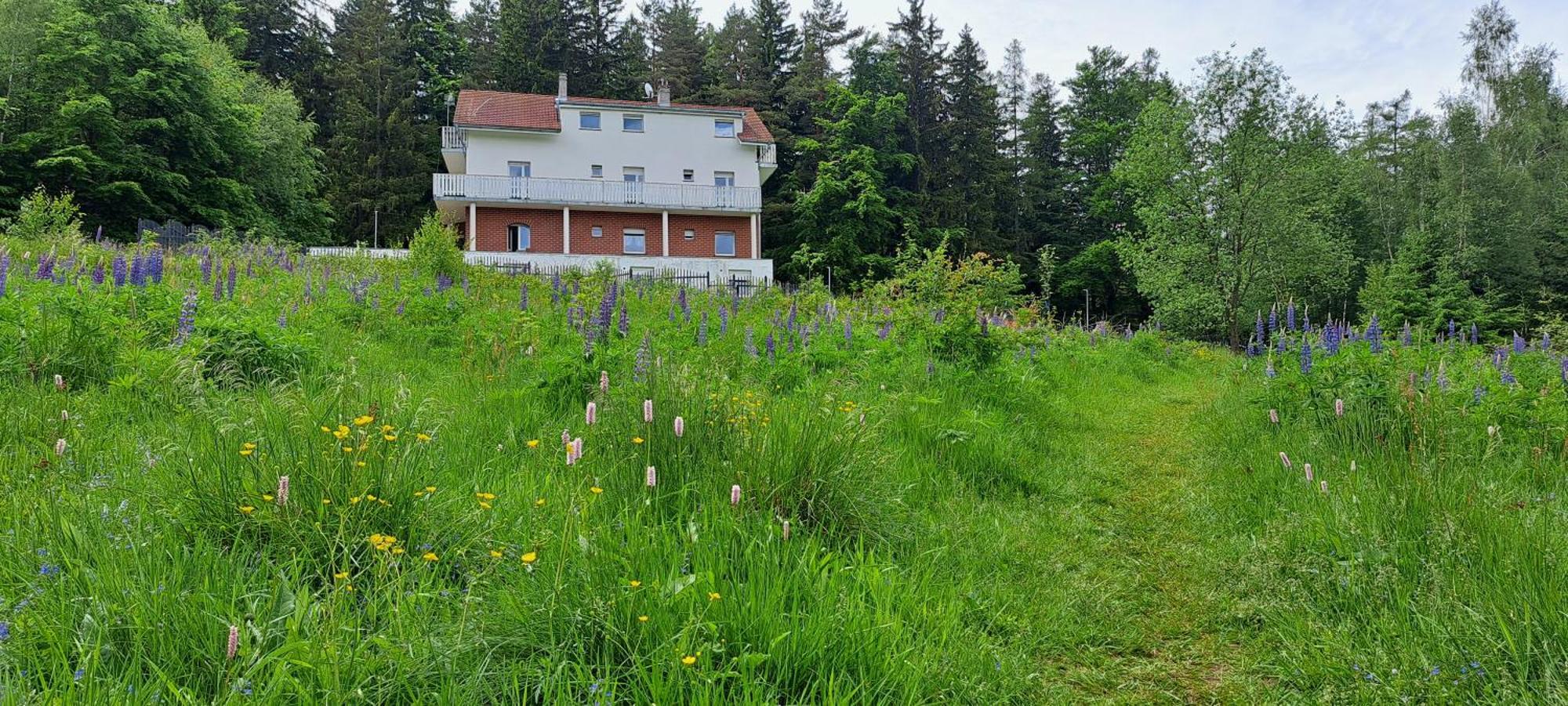 Gorskie Zacisze Bed & Breakfast Borowice Exterior photo